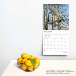 Louisiana Wild And Scenic 2024 Wall Calendar -Calendars Sales Store 77a97582 bbe4 499e b7df c589a5cff44b