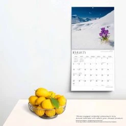 Alaska Wild And Scenic 2024 Wall Calendar -Calendars Sales Store 780379fc 94f3 4767 89b1 ce1993069de1