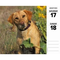 Just Labs 2024 Desk Calendar -Calendars Sales Store 7863f425 b8cd 4a6e 8f20 8d321f239113