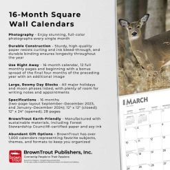White Tailed Deer 2024 Wall Calendar -Calendars Sales Store 79edbb39 5ada 4ac6 b5cf 36820d60836f