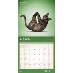 Yoga Cats 2024 Wall Calendar 12 Yoga Cats 2024 Wall Calendar -Calendars Sales Store 7ca0240d 9878 4982 913b 529de48d8030