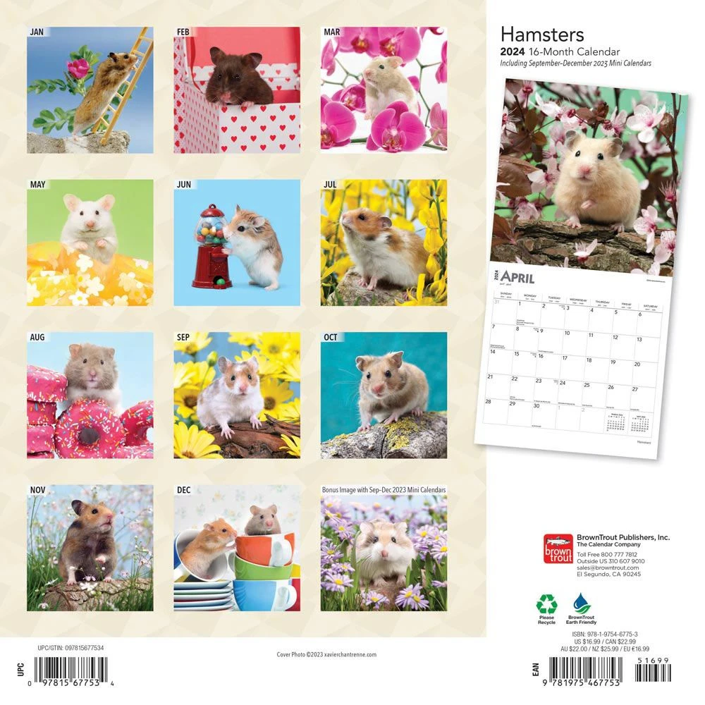 Hamsters 2024 Wall Calendar 4 Hamsters 2024 Wall Calendar - Image 2