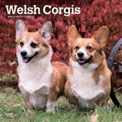 Welsh Corgis 2024 Wall Calendar