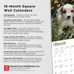 Jack Russell Terrier Puppies 2024 Wall Calendar -Calendars Sales Store 7dcfb49c 25de 48ff 8cd7 90bf013108e2