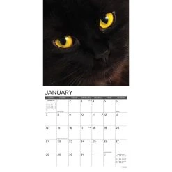 Just Black Cats 2024 Wall Calendar -Calendars Sales Store 7e6b6e7c 1e68 4bf2 8ab1 c0a3b694a714