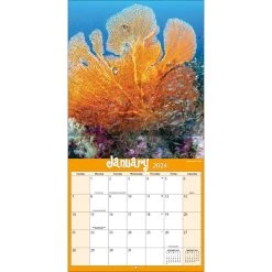 Coral Reef 2024 Wall Calendar -Calendars Sales Store 7ed728c3 952d 402f 91df cac42970f03c