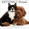 Kittens & Friends 2024 Wall Calendar -Calendars Sales Store 7fb6ac63 ad5f 481f acc9 c8536ff07d91