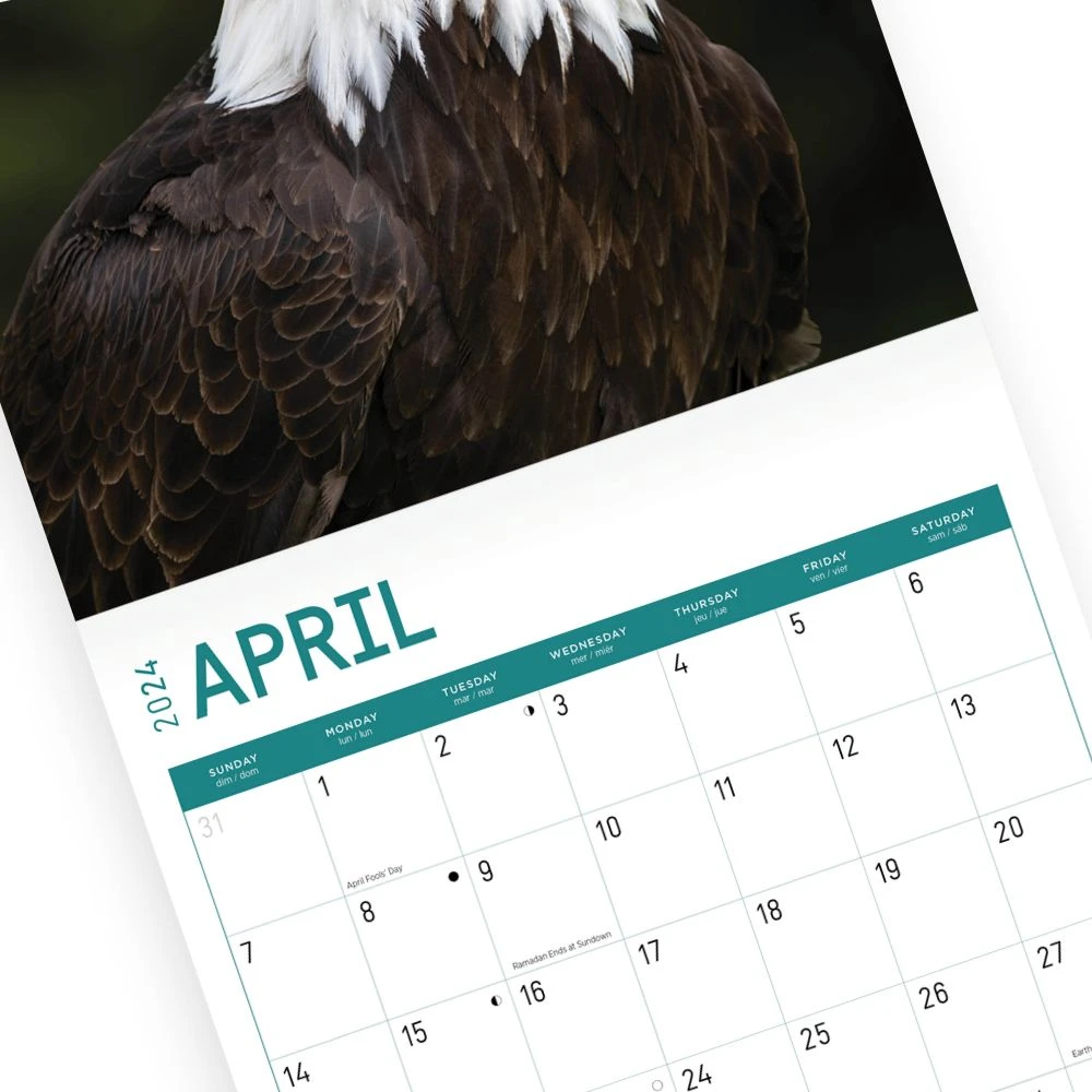 Bald Eagles 2024 Wall Calendar 6 Bald Eagles 2024 Wall Calendar - Image 4