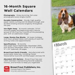 Basset Hounds 2024 Wall Calendar 14 Basset Hounds 2024 Wall Calendar -Calendars Sales Store 804b41e9 ae21 4d7d 8e0d 5d6488bfc064