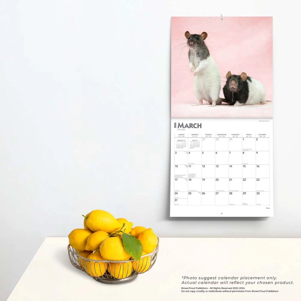 Rats 2024 Wall Calendar 6 Rats 2024 Wall Calendar - Image 4