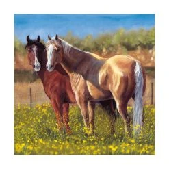 Horses Special Edition 2024 Wall Calendar 10 Horses Special Edition 2024 Wall Calendar -Calendars Sales Store 8370680a 6137 4f8c 93c8 9106c2eec6dc