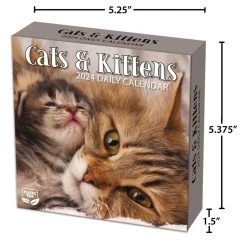 Cats And Kittens 2024 Desk Calendar -Calendars Sales Store 83c73f53 8908 4b63 9555 fa2904482511