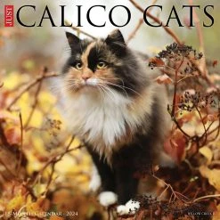 Just Calico Cats 2024 Wall Calendar -Calendars Sales Store 83cb9c21 c11a 444e 995c 69fe442ff9a5