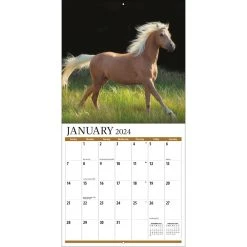 Horses Photo 2024 Wall Calendar 9 Horses Photo 2024 Wall Calendar -Calendars Sales Store 8587a793 589c 404b b9c6 4f840bcf5d7d