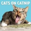 Cats On Catnip 2024 Wall Calendar -Calendars Sales Store 85c45e0a 4786 40b1 81fe 95c01ef6534b