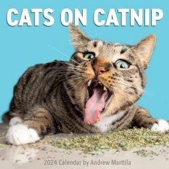 Cats On Catnip 2024 Wall Calendar