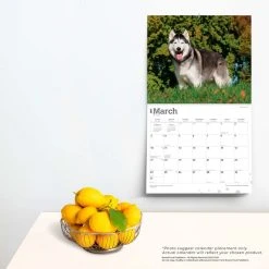 Siberian Huskies Deluxe 2024 Wall Calendar -Calendars Sales Store 85d04a6a f145 45fe 81cf ad809a716be1