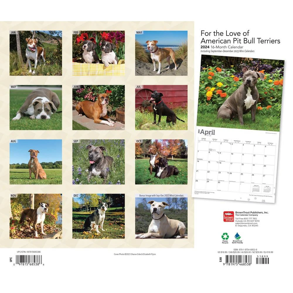 Pit Bull Terriers Deluxe 2024 Wall Calendar 4 Pit Bull Terriers Deluxe 2024 Wall Calendar - Image 2