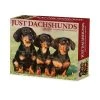 Just Dachshunds 2024 Desk Calendar -Calendars Sales Store 87be5cc6 7b65 40d9 924e e02196cc8a82