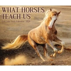 What Horses Teach Us 2024 Desk Calendar -Calendars Sales Store 8977c901 3950 49c8 8d82 99af6dfd5544