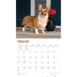 Welsh Corgis Deluxe 2024 Wall Calendar -Calendars Sales Store 89c99fce 10d0 46f6 b011 e7ee709c9d74