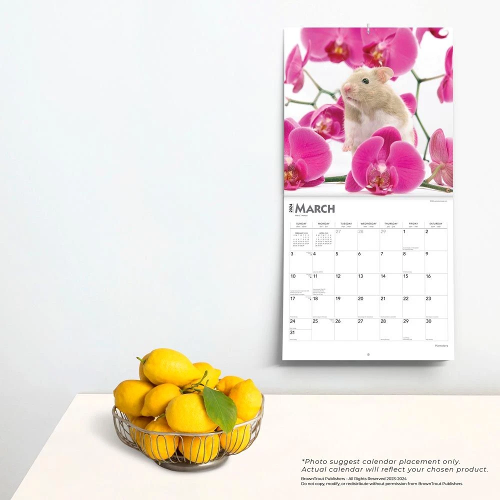 Hamsters 2024 Wall Calendar 6 Hamsters 2024 Wall Calendar - Image 4