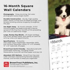 Border Collie Puppies 2024 Wall Calendar 14 Border Collie Puppies 2024 Wall Calendar -Calendars Sales Store 8b13c174 869e 4f94 98b7 39ec1c82e1eb