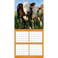 Baby Animals Photo 2024 Wall Calendar -Calendars Sales Store 8b4db85f 4ab3 4d6f 877d d819c5d1e313
