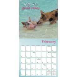 Pigs In Paradise 2024 Wall Calendar 11 Pigs In Paradise 2024 Wall Calendar -Calendars Sales Store 8bf4a955 77ee 49c6 9949 2e41ba34841b