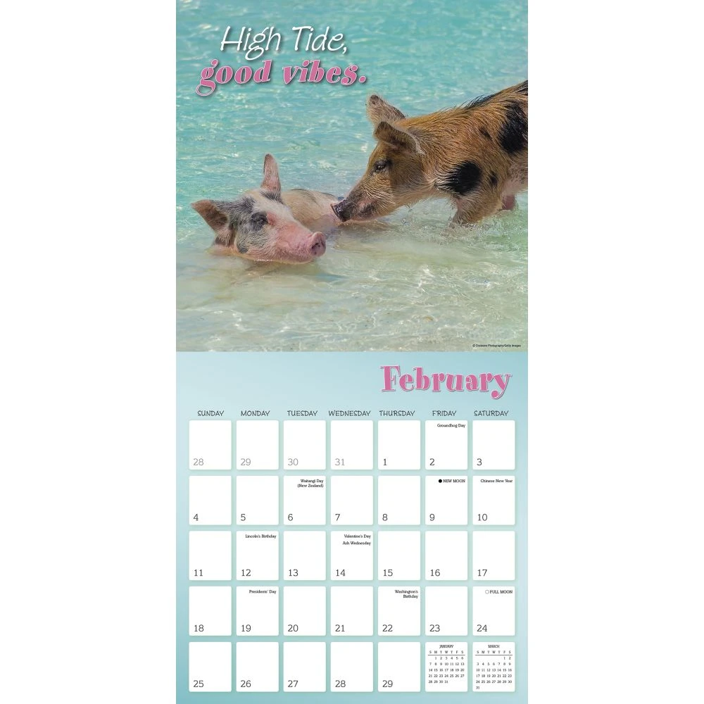 Pigs In Paradise 2024 Wall Calendar 6 Pigs In Paradise 2024 Wall Calendar - Image 4