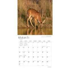 Texas Nature 2024 Wall Calendar -Calendars Sales Store 8c2cf405 b573 40be a17c 0ddc261e09a6