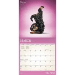 Yoga Puppies 2024 Wall Calendar -Calendars Sales Store 8c770f96 a815 404d bafa d9647864a31a