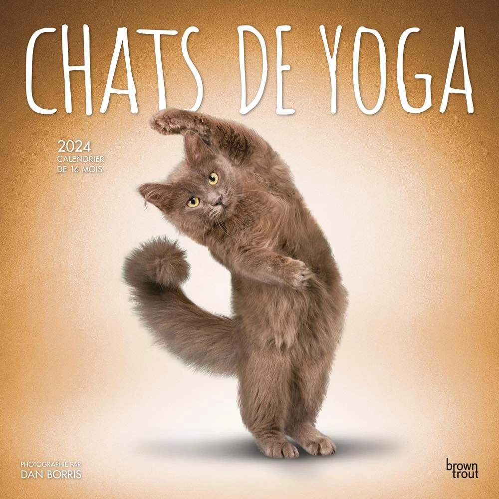 Yoga Cats 2024 French Wall Calendar 3 Yoga Cats 2024 French Wall Calendar