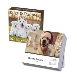 Dogs And Puppies 2024 Desk Calendar -Calendars Sales Store 8d28ccd0 883b 44af a2af 2a729c890517
