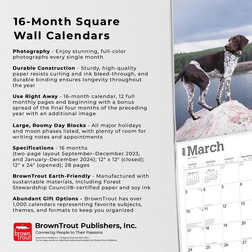 German Shorthaired Pointers 2024 Wall Calendar 7 German Shorthaired Pointers 2024 Wall Calendar - Image 5