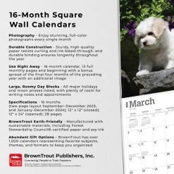 Bichon Frise Puppies 2024 Wall Calendar -Calendars Sales Store 8e3820a3 f122 47a2 abe5 419d561f6f30