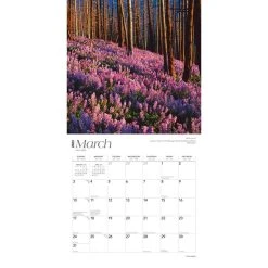 Cascades 2024 Wall Calendar -Calendars Sales Store 8ea29e8e 3a74 4c87 94e9 343ad2e7389e