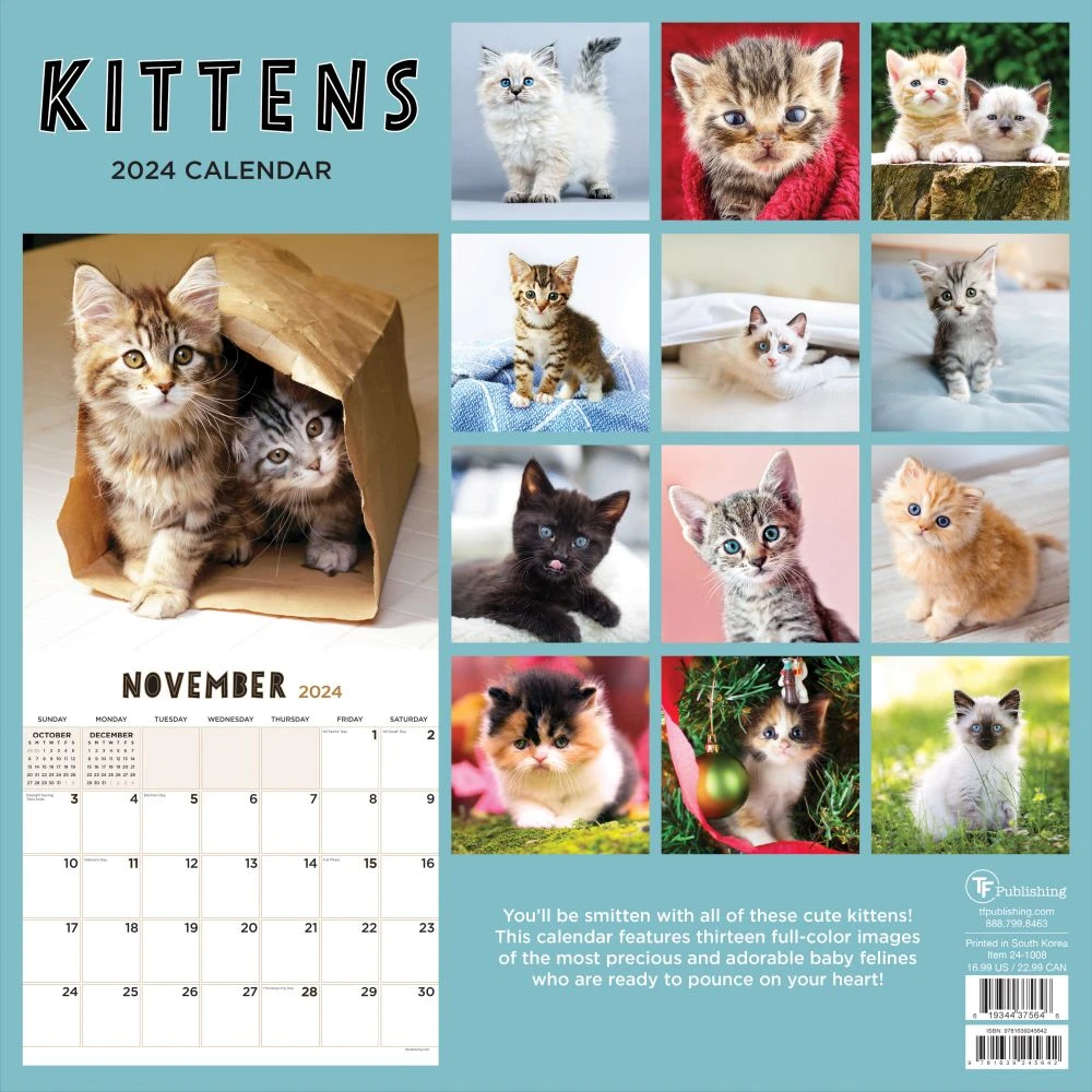 Kittens 2024 Wall Calendar 4 Kittens 2024 Wall Calendar - Image 2
