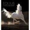 Equus 2024 Wall Calendar -Calendars Sales Store 902531fb ec15 4ebc 92d1 2e93c93fd552