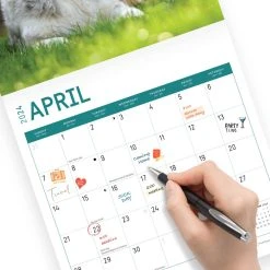 Australian Shepherds 2024 Wall Calendar 12 Australian Shepherds 2024 Wall Calendar -Calendars Sales Store 902b3c3e ec3f 4f4e 989c 5795abe94cb7