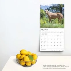 Horses Quarter 2024 Wall Calendar 13 Horses Quarter 2024 Wall Calendar -Calendars Sales Store 90794afa 22c9 42ad b439 654e44103a31