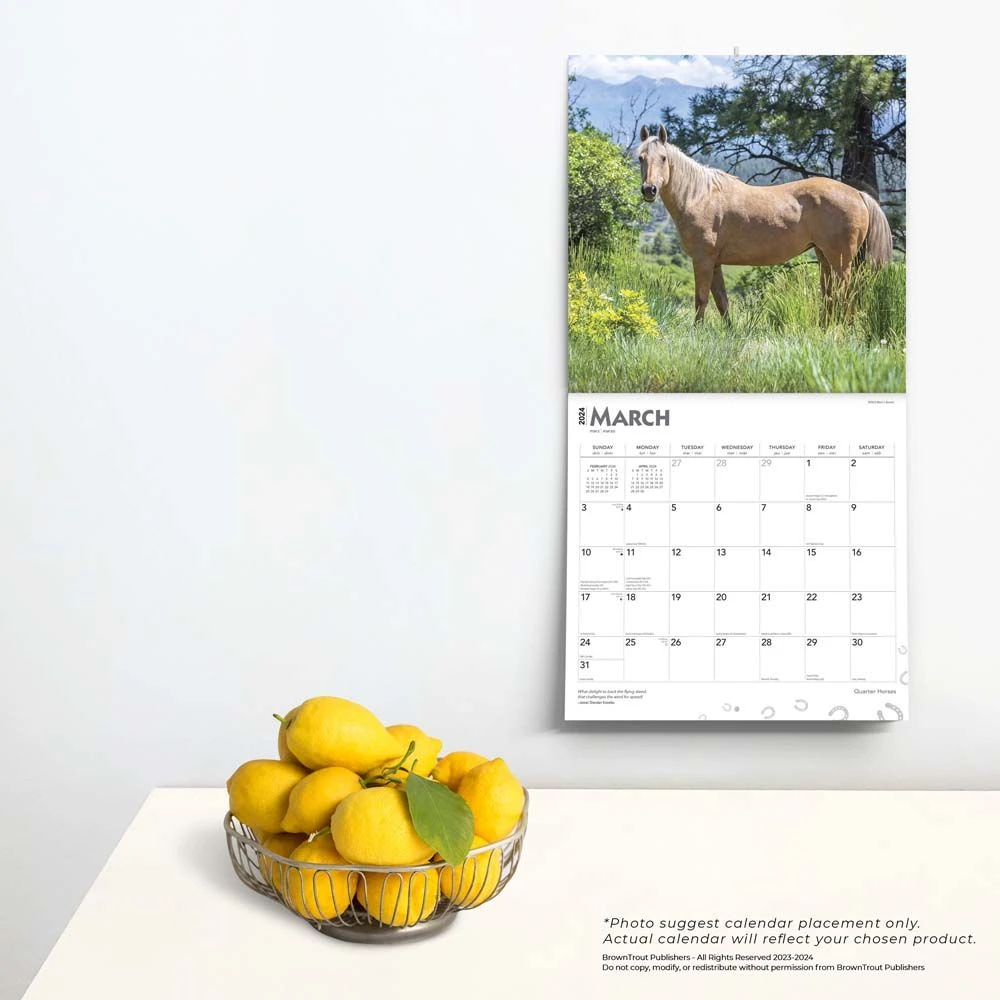 Horses Quarter 2024 Wall Calendar 6 Horses Quarter 2024 Wall Calendar - Image 4