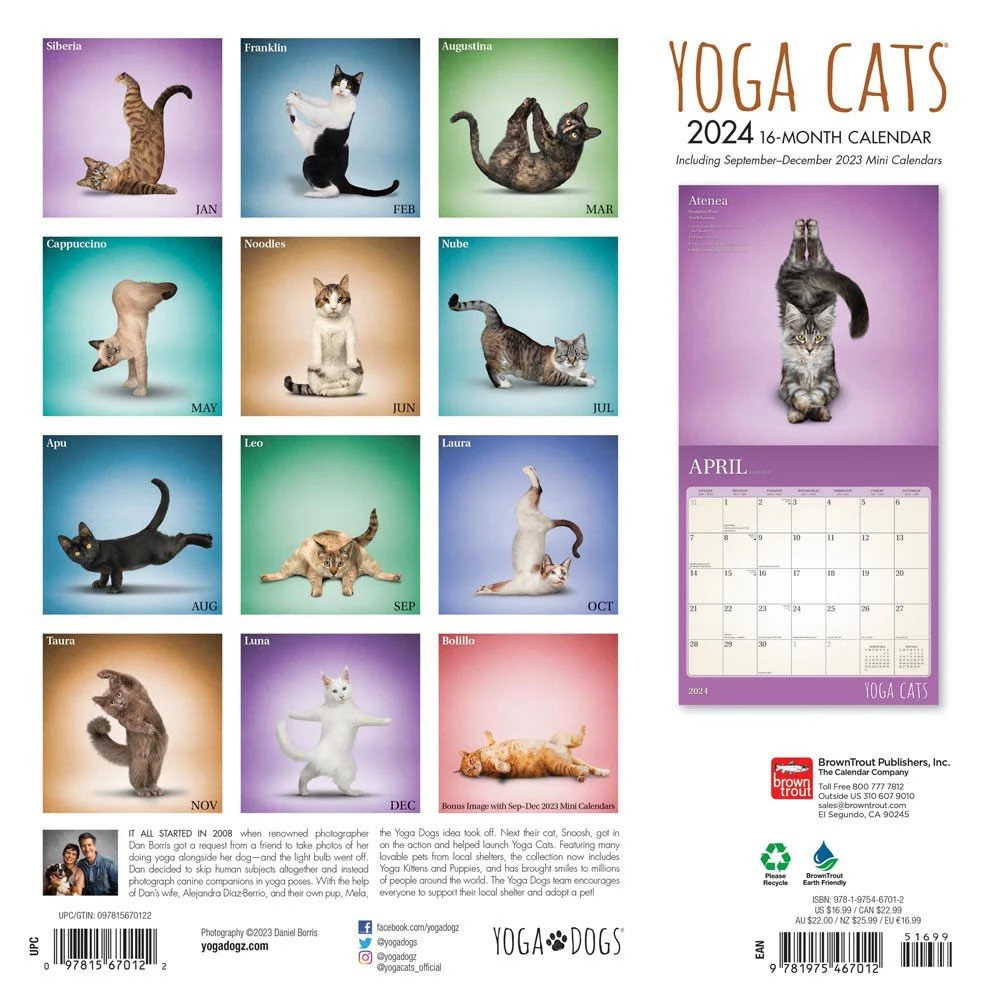 Yoga Cats 2024 Wall Calendar 4 Yoga Cats 2024 Wall Calendar - Image 2