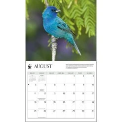 Songbirds WWF 2024 Wall Calendar -Calendars Sales Store 920c2ce4 91bc 43d0 92b8 f06994147adf