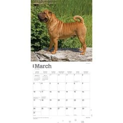 Shar-Pei 2024 Wall Calendar -Calendars Sales Store 925aefbd 0baa 4dc9 80a3 55e41303c605