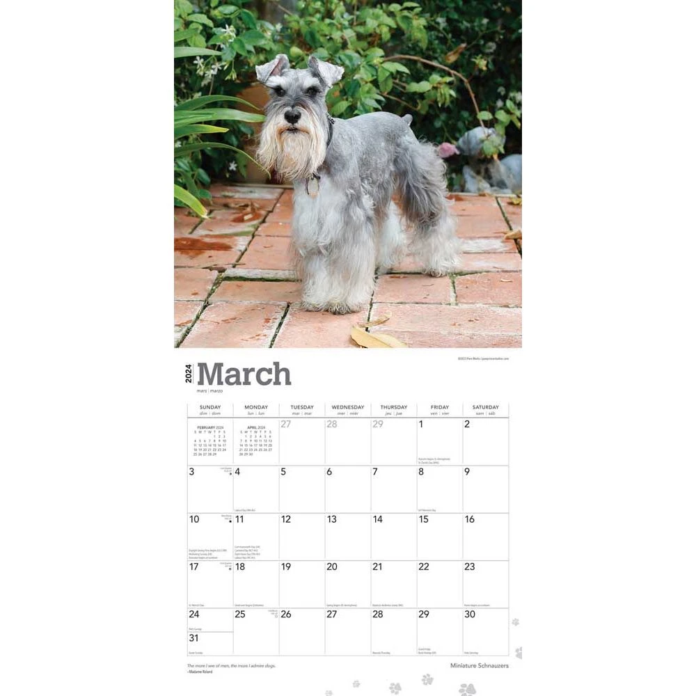Miniature Schnauzers 2024 Wall Calendar 5 Miniature Schnauzers 2024 Wall Calendar - Image 3