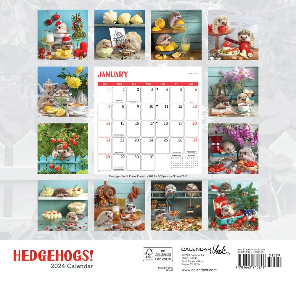 Hedgehogs! 2024 Wall Calendar 4 Hedgehogs! 2024 Wall Calendar - Image 2