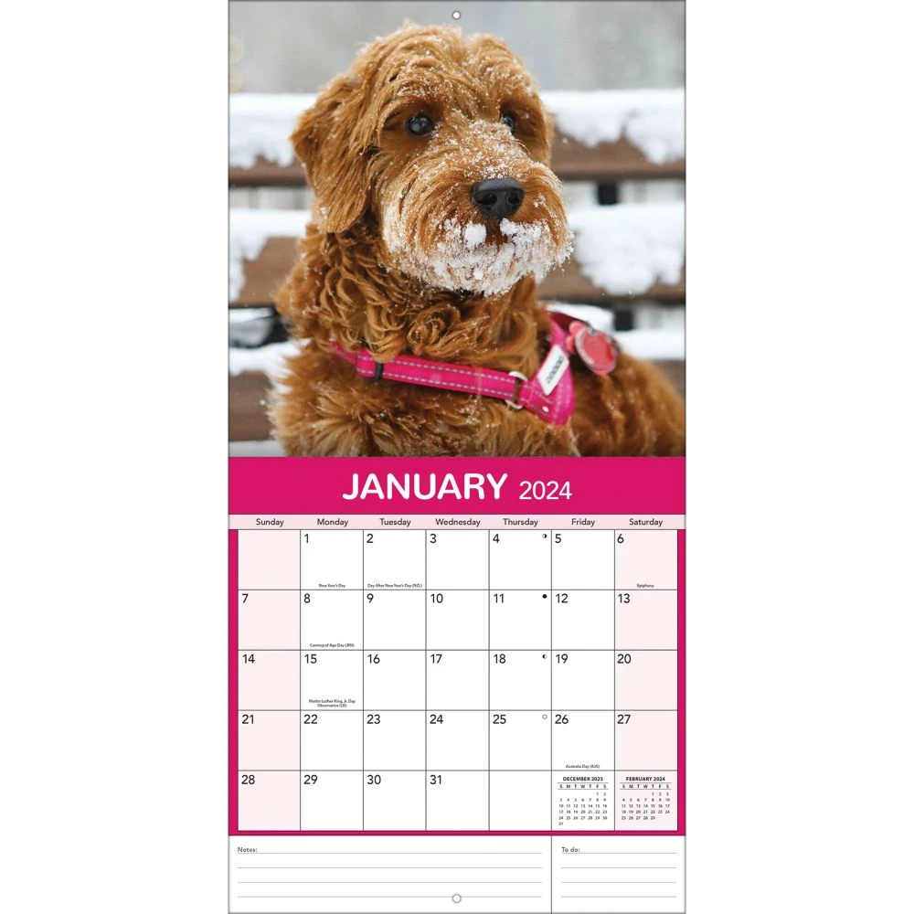 All Mixed Up! 2024 Wall Calendar 7 All Mixed Up! 2024 Wall Calendar - Image 5