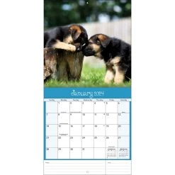 Playful Puppies 2024 Wall Calendar -Calendars Sales Store 952e2ba5 b33b 4f3e 89cd 13364a44802d