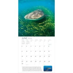 Ocean Unseen 2024 Wall Calendar -Calendars Sales Store 953d46ad 93b1 4ac7 bffe 0e630c6136fd